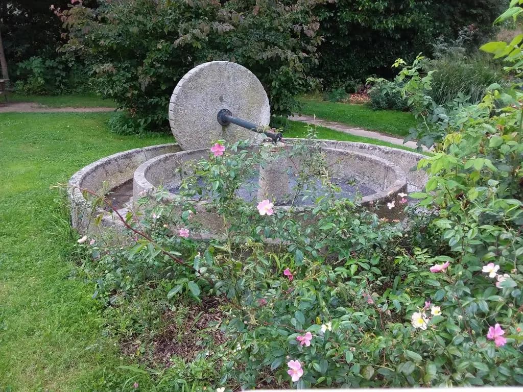 L'Orchidée - Photo 1