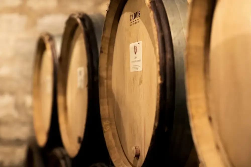 Domaine GILLE - Photo 3