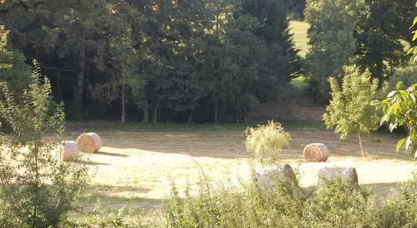 Gite Rural Le Balloir - Photo 4
