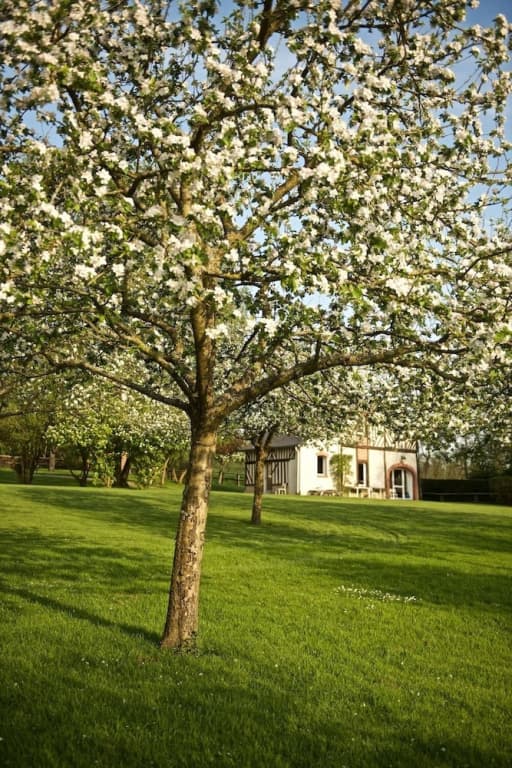 Locations - Domaine Le Coq Enchanté - Photo 1