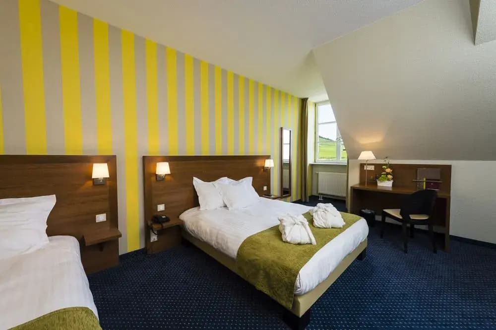 Hotel The Originals Colmar Haut Koenigsbourg Val-v - Photo 5