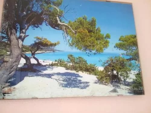Villa Preschi - 4 - Photo 3