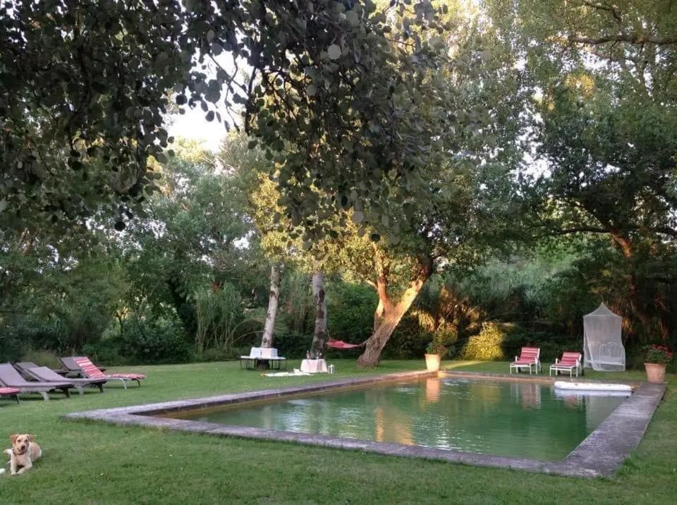 Gîte de caractère 72m2 - Photo 5