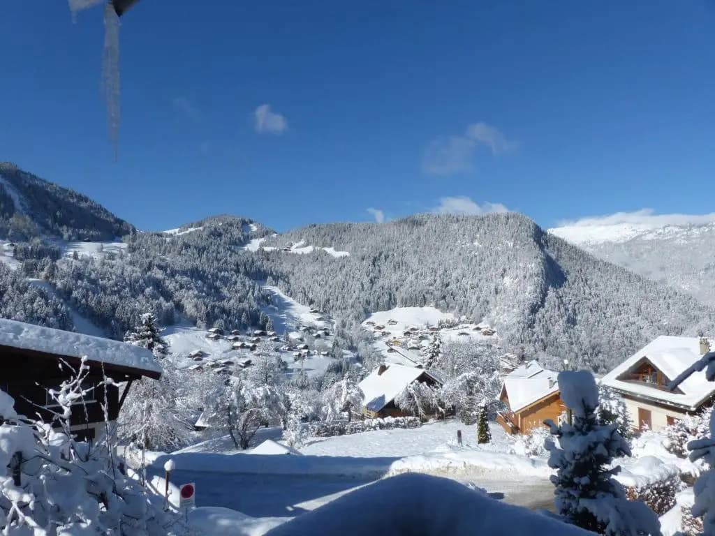 Appartement La Clusaz, 2 pièces, 4 personnes - FR-1-437-5 - Photo 4