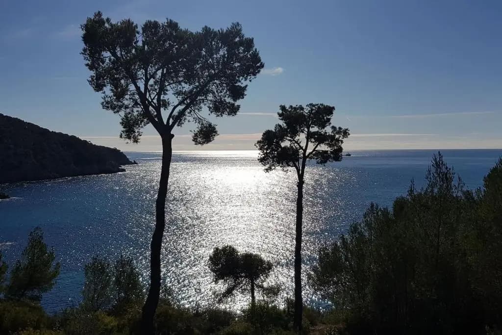 Appart T1 centre BANDOL dans Résidence de charme - Miniature 6