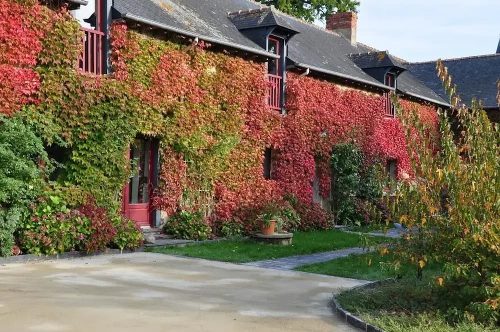 Maison d'hôtes de l'Huardière - Photo 1