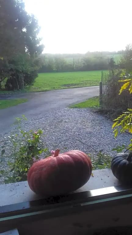 La Colline des Roses - Photo 2