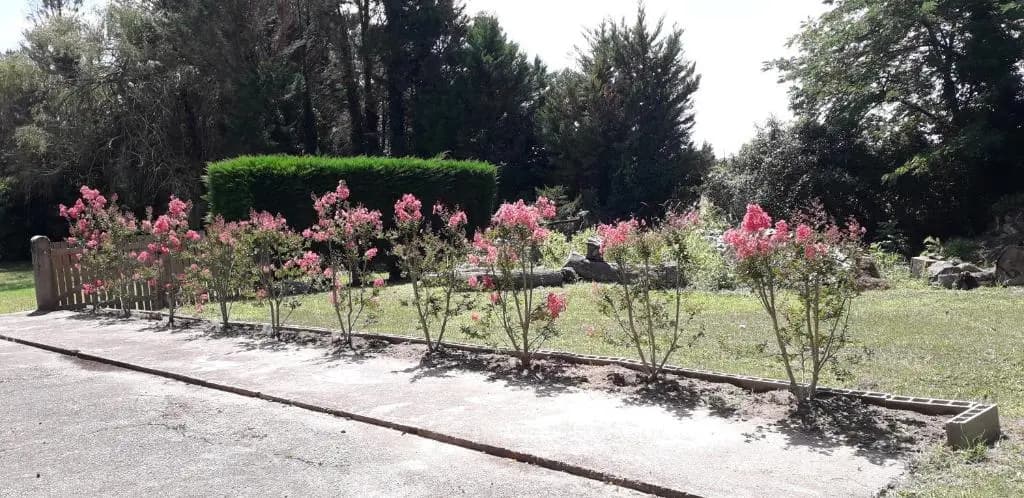 325 Route du Fourou - Photo 1
