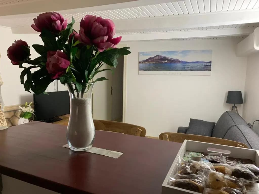 ANNECY Sainte Claire vieille ville 38m2 Terrasse proche gare et lac 4 pers 3 étoiles - Photo 2