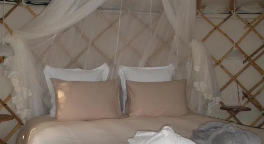 Mira Ceti Yurt - Photo 4