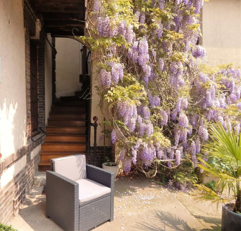 Hôtel Le Cygne - Miniature 8