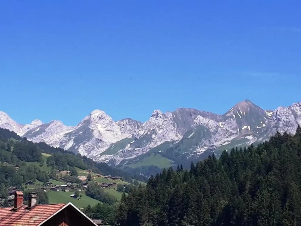 Appartement Le Grand-Bornand, 3 pièces, 6 personnes - FR-1-241-55 - Miniature 7