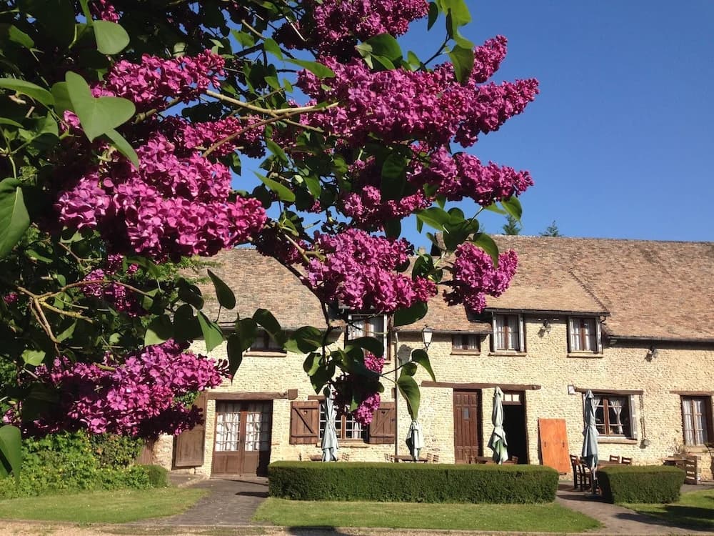 Auberge à l'Orée du Bois - Photo 1