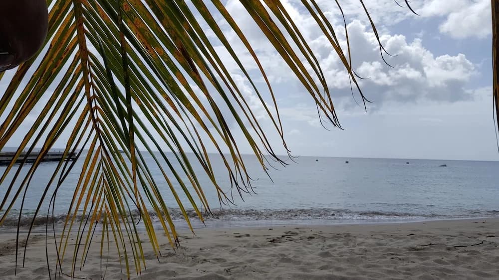 LA YOLE des Caraïbes - Miniature 8