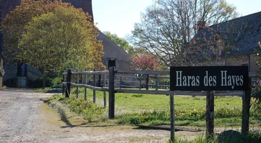Gîte du Haras des Hayes - Miniature 7