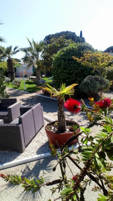 Brit Hotel Confort Helios Agde - Miniature 8
