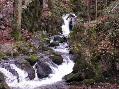 Chambres d'hôtes Les Quatre Saisons - Photo 4