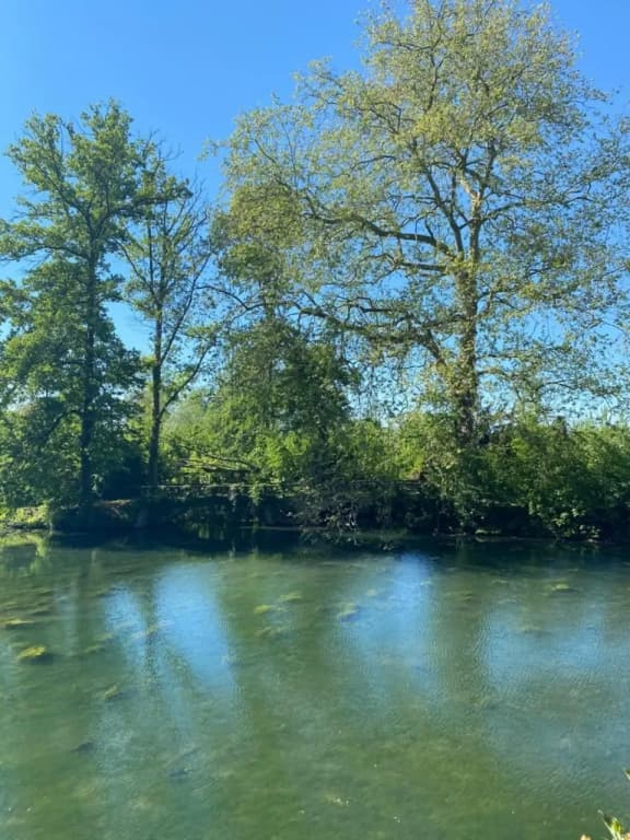 Domaine de Vadancourt - Photo 4