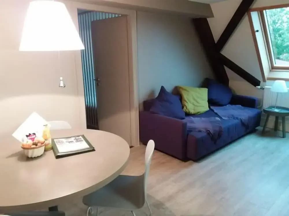 Maison des gîtes Ungerer - Photo 4