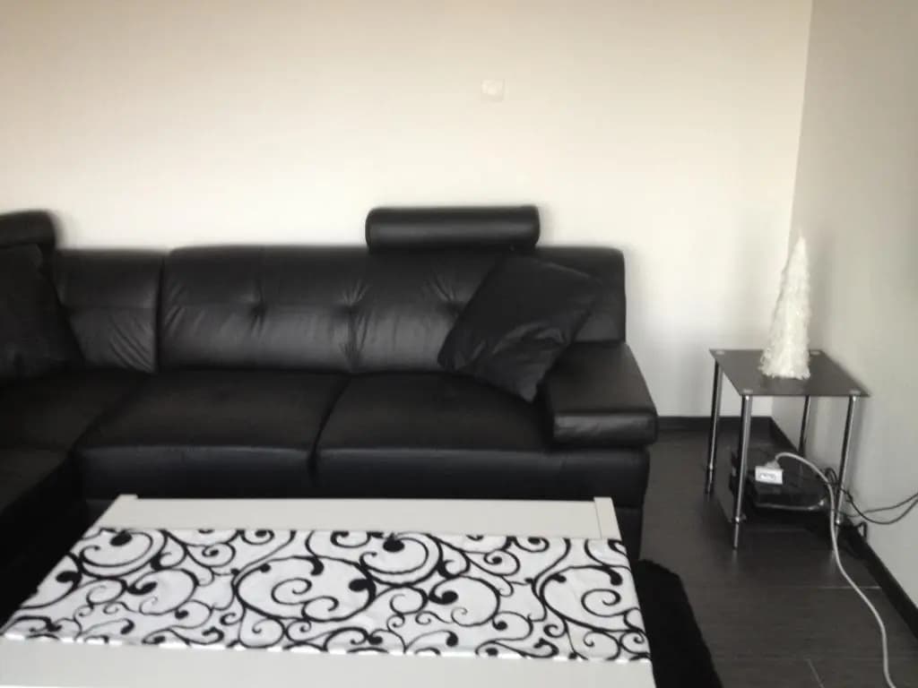 Schirmeck Apartment - Photo 3