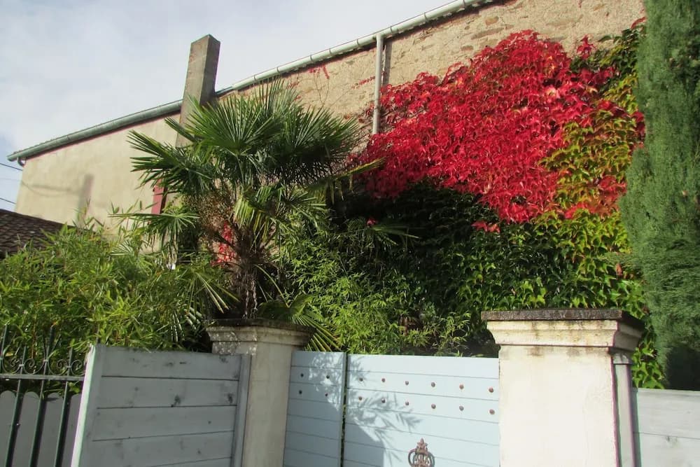 Le Cottage - Photo 1