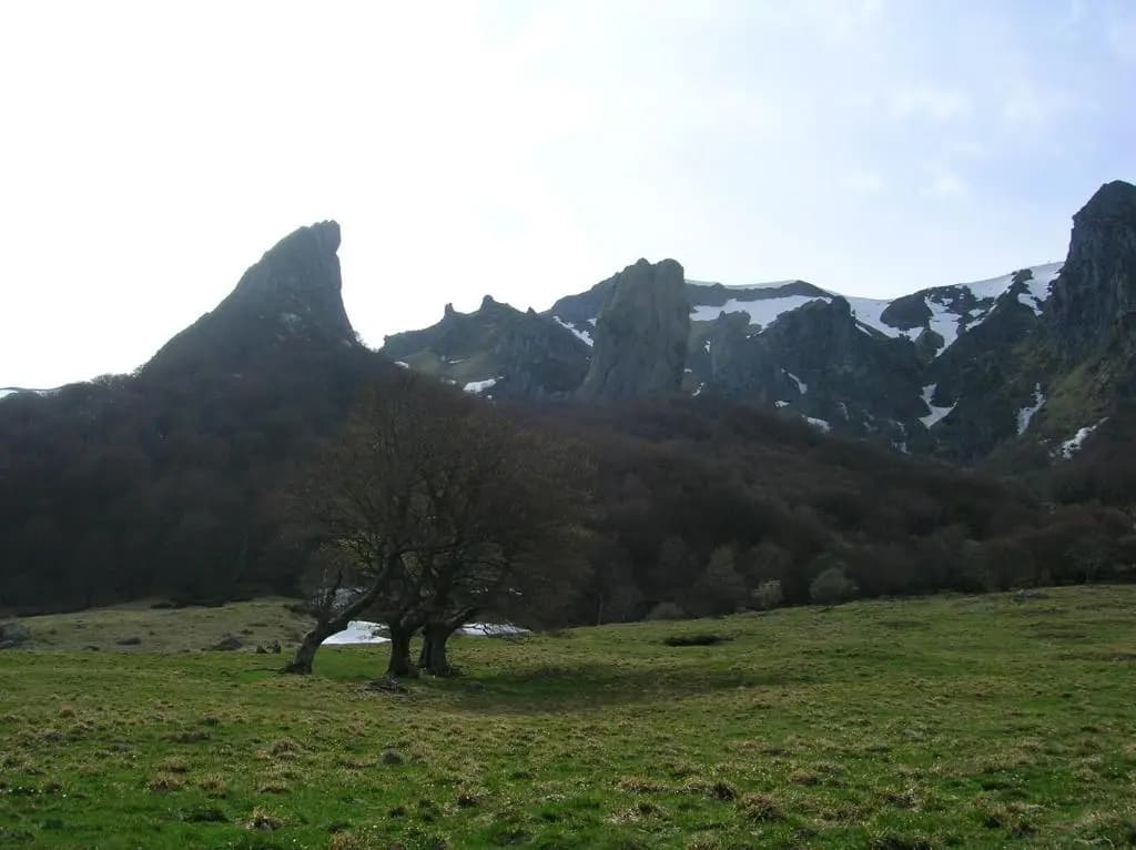 La cle des champs - Miniature 6