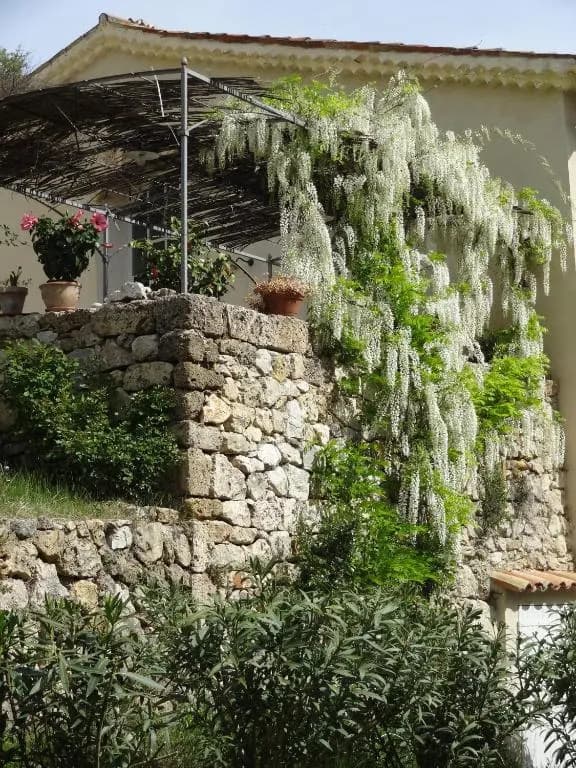 Domaine de La Magdeleine - Photo 4