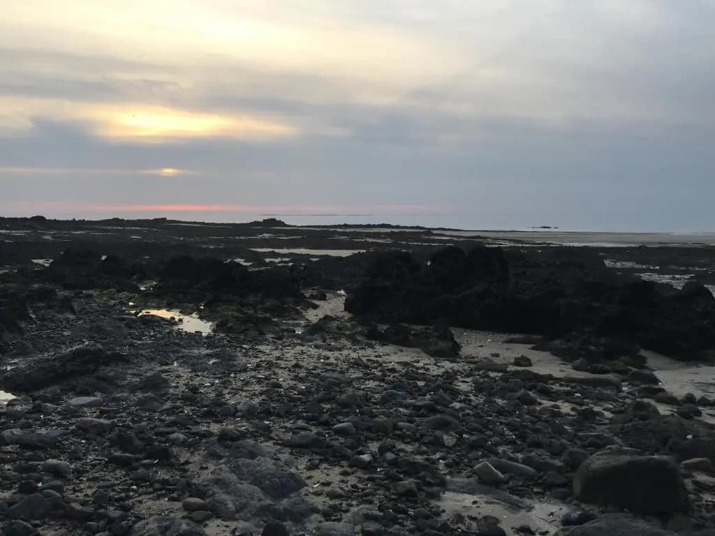 L'Horizon - Photo 4