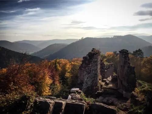 Meublés de Tourisme Heidelbeere - Photo 2