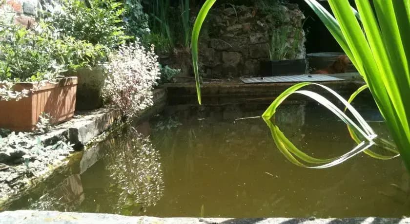 La Cour au Lavoir - Photo 3