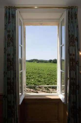 Château de Môle - Photo 4