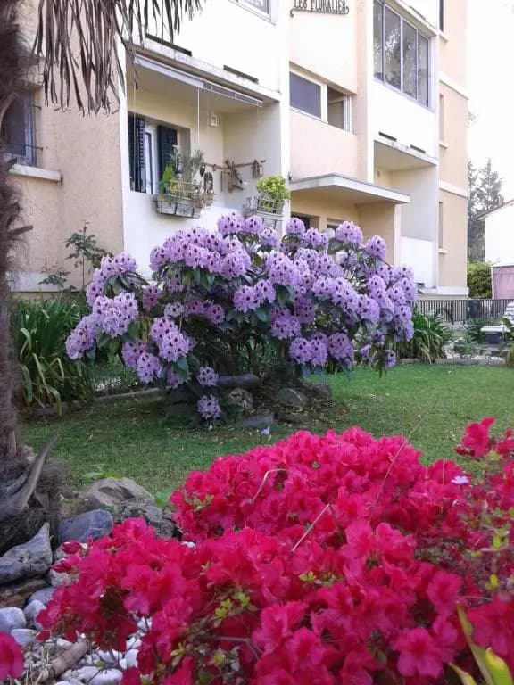 Les Floralies bis - Photo 1
