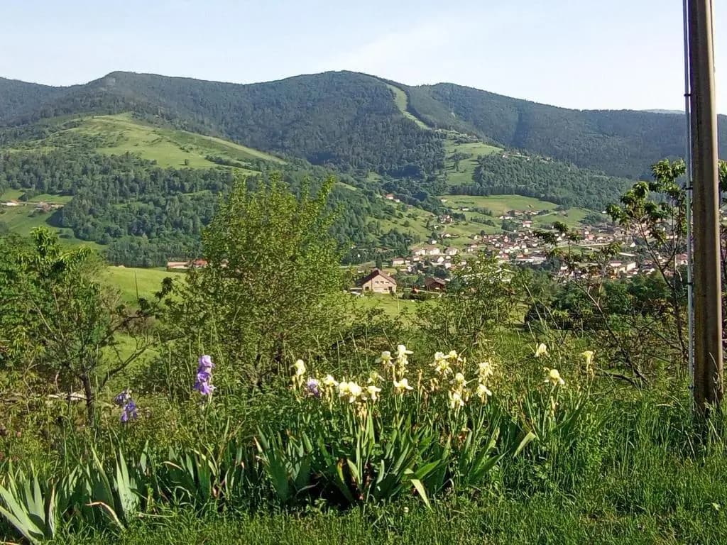 Location des Cimes - Photo 2