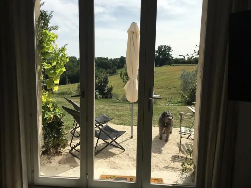 Gîte Bonjour Haut - Photo 4