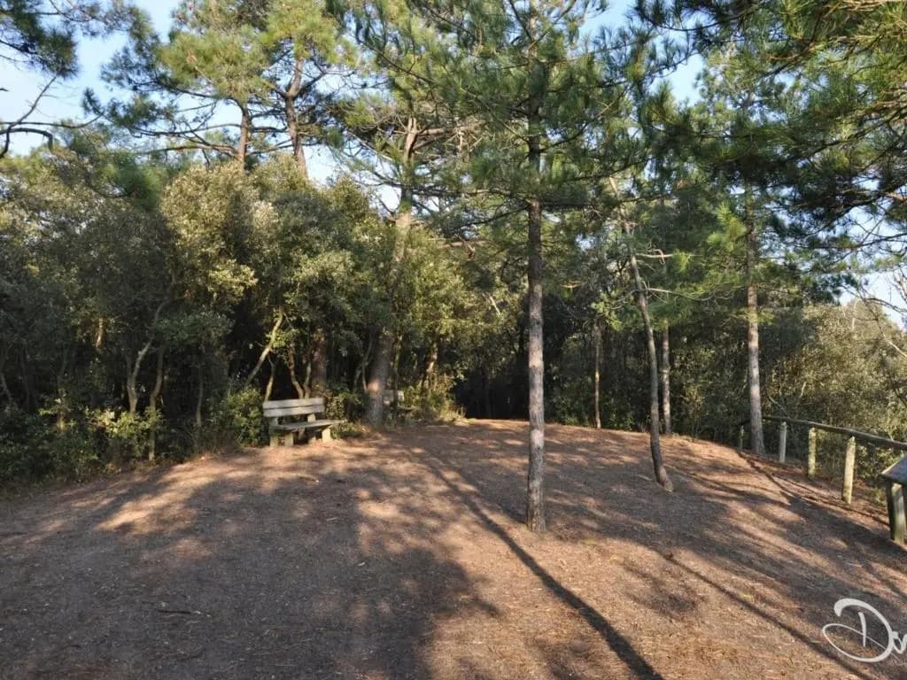 Appartement Saint-Hilaire-de-Riez, 3 pièces, 7 personnes - FR-1-323-234 - Photo 5