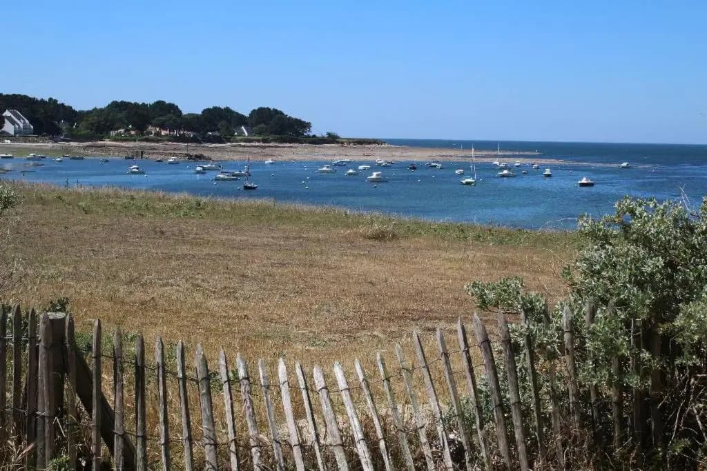 La Marinière - Photo 2