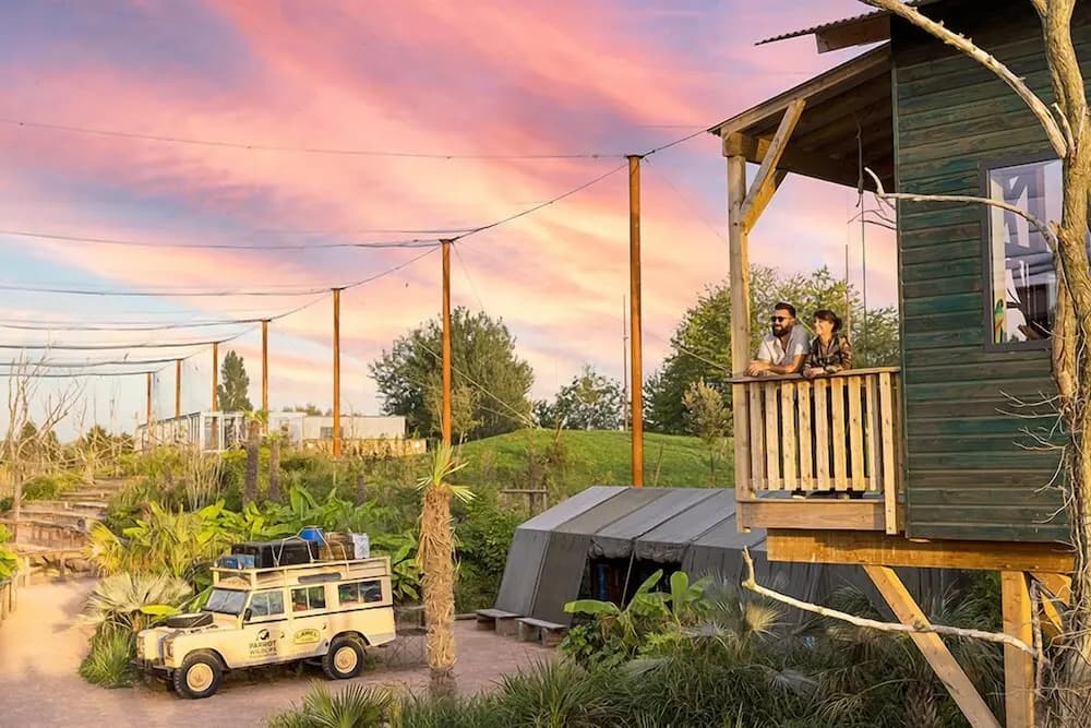 Les Lodges - Parrot World - Miniature 6