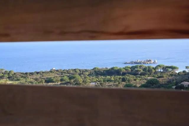 Les Terrasses De Scalegiu - Photo 1