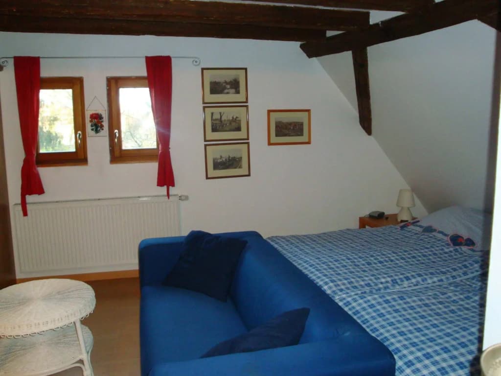 Maison d'hôte Alsace/Domaine du Moulin - Photo 4
