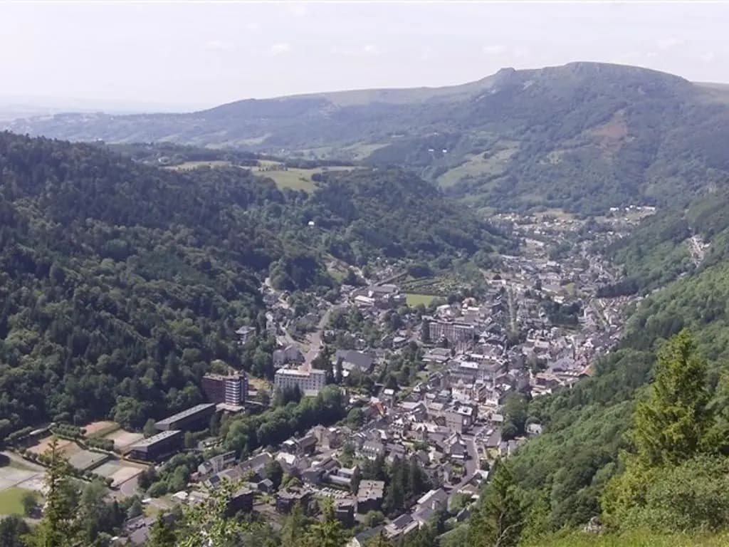 Appartement Mont-Dore, 2 pièces, 4 personnes - FR-1-415-101 - Miniature 8