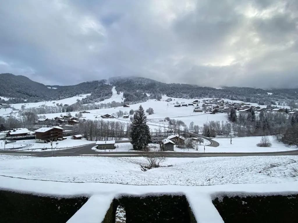 Appartement Praz-sur-Arly, 1 pièce, 4 personnes - FR-1-603-25 - Miniature 8