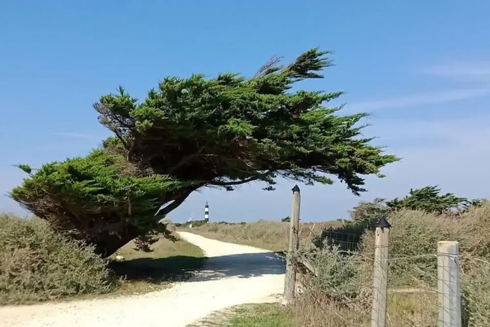 Romantic Getaway on Ile D'oleron - Photo 5