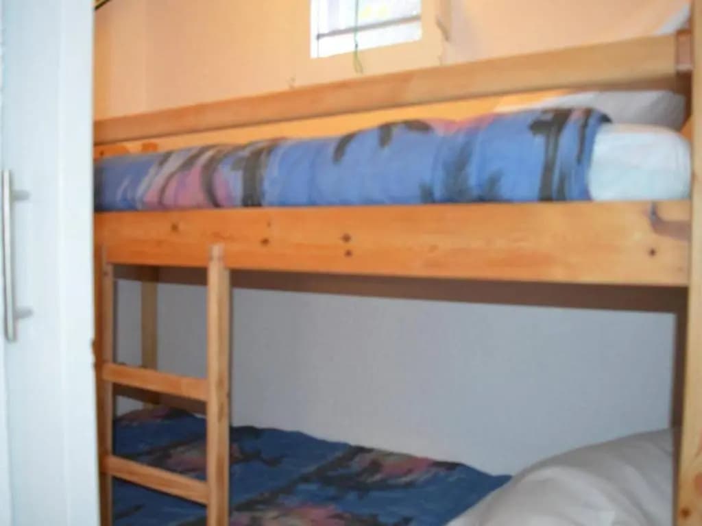 Appartement Saint-Cyprien, 1 pièce, 4 personnes - FR-1-225D-408 - Photo 4