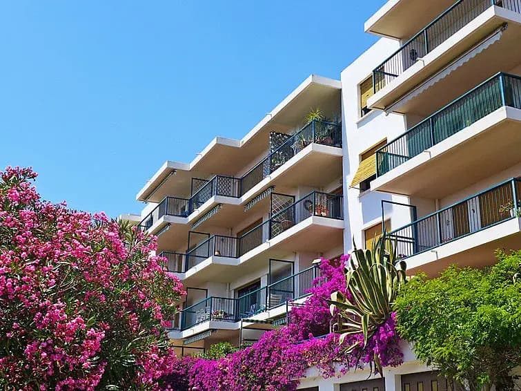 Echappée Bleue Immobilier - Les Mimosas - Photo 1
