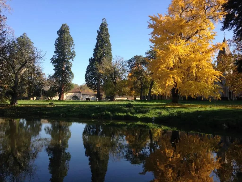 Chateau de Bresse sur Grosne - Photo 3