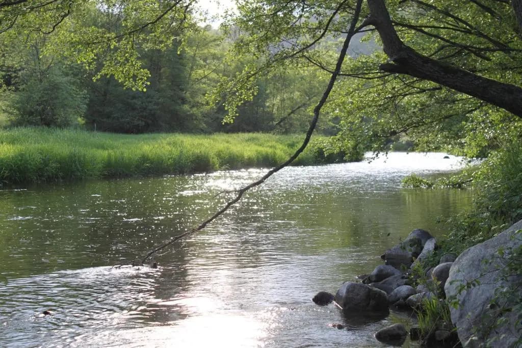 Camping Les Berges Du Doux - Photo 2