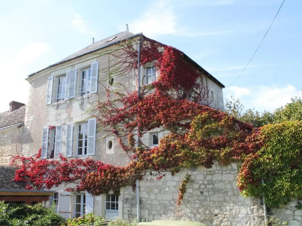 Maison La Roche-Posay, 2 pièces, 3 personnes - FR-1-541-52 - Photo 1