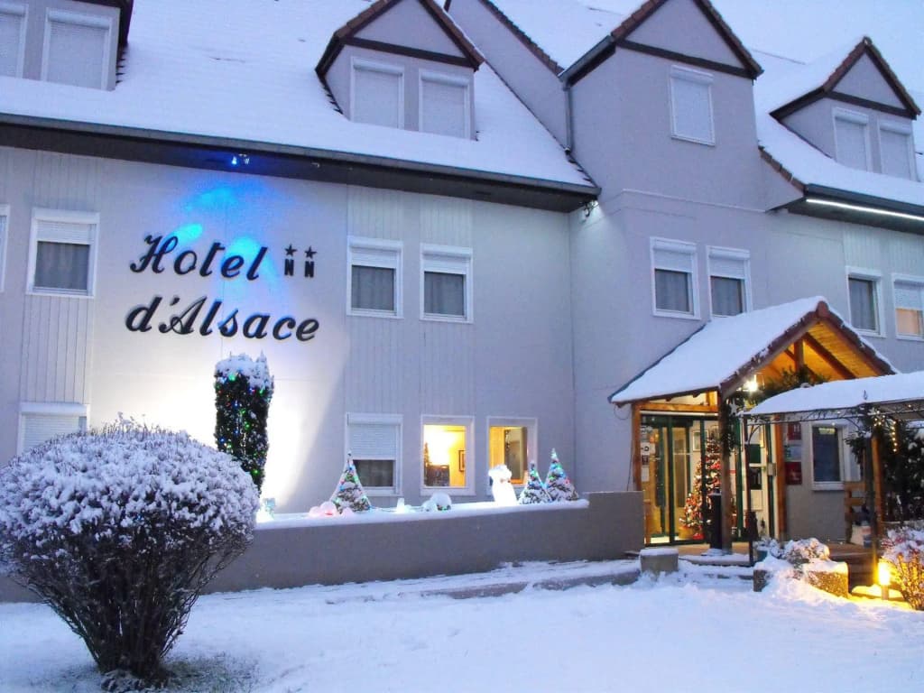 Hotel D'Alsace - Photo 1