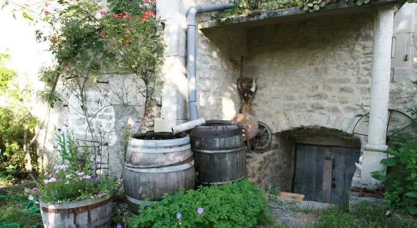 Le vieux vélo - Photo 5