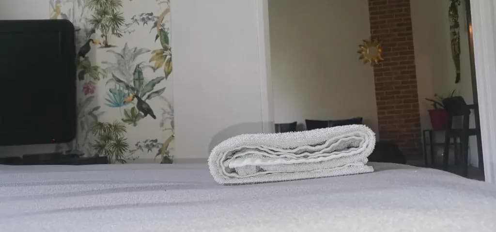 TOULOUSE appartement avec chambre séparée/Métro/Piscine - Photo 3